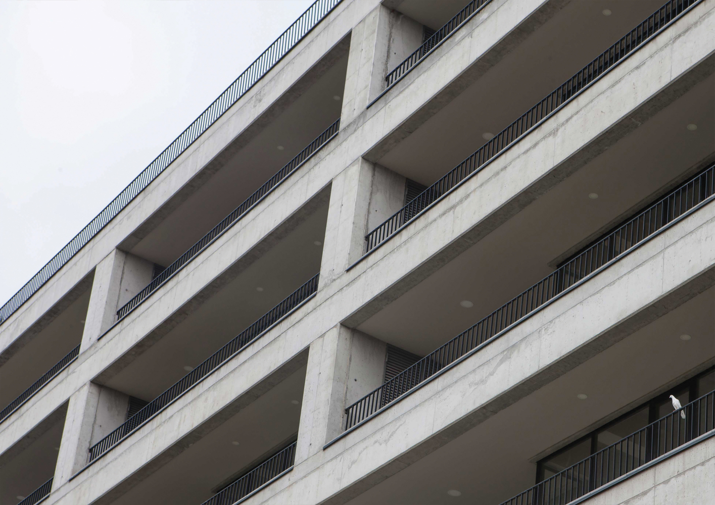 格鲁吉亚 Tiflis 的"Bagebi"住宅楼丨DM Studio,Wunderwerk-18