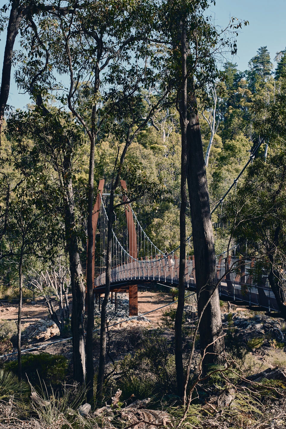 Dwaarlindjirraap 悬索桥丨澳大利亚-29