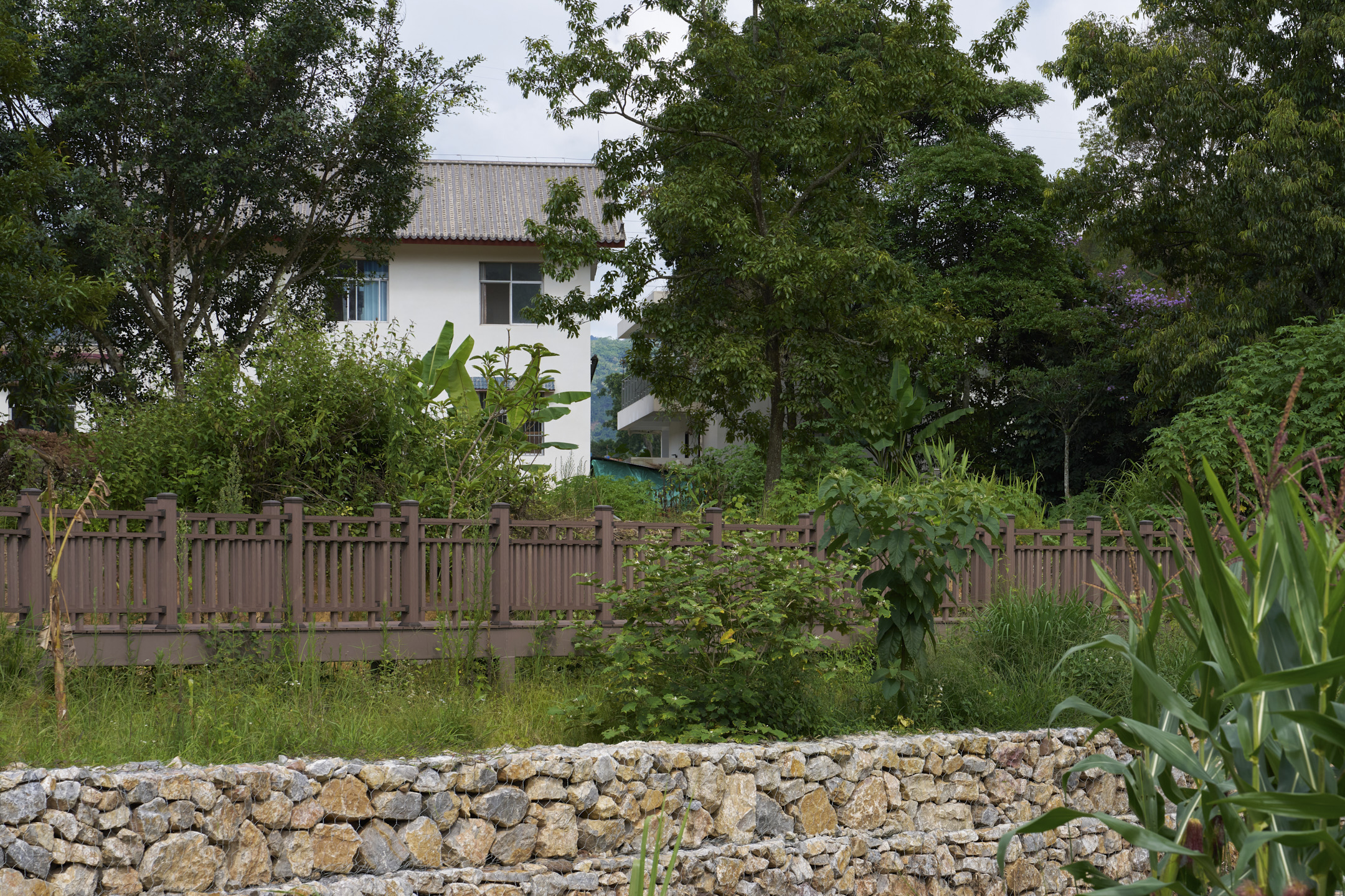 美丽星村有风咖谷丨中国普洱丨长空创作-14