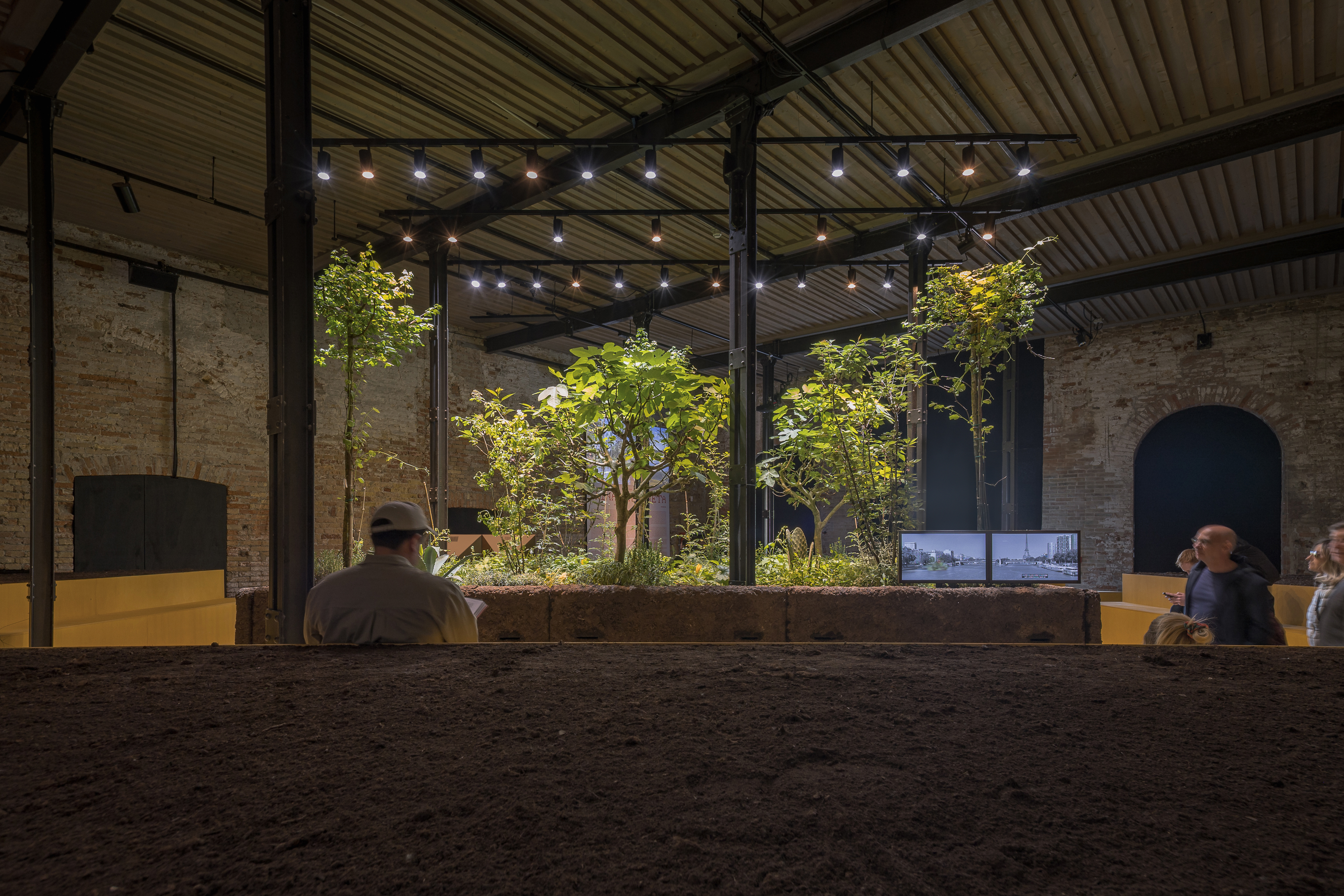 第 19 届威尼斯国际建筑双年展：墨西哥馆，探索古老农业系统的生态潜力-5