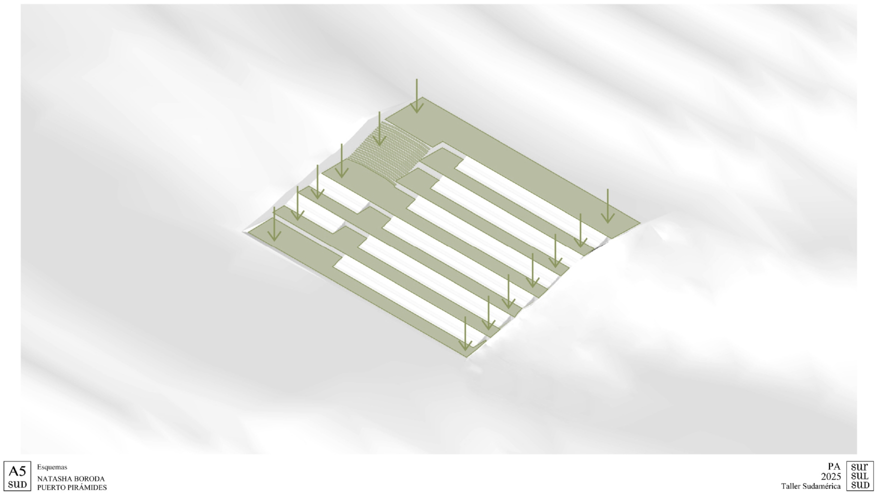 Puerto Pirámide | Centro de Investigacion-6