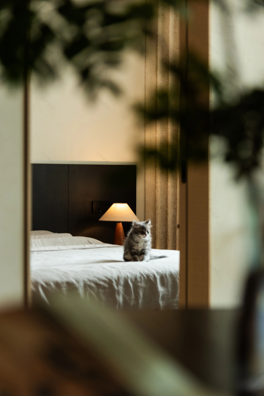 LIZI&MORE · 一个动态生长的家丨中国北京丨安之见舍空间设计事务所-31