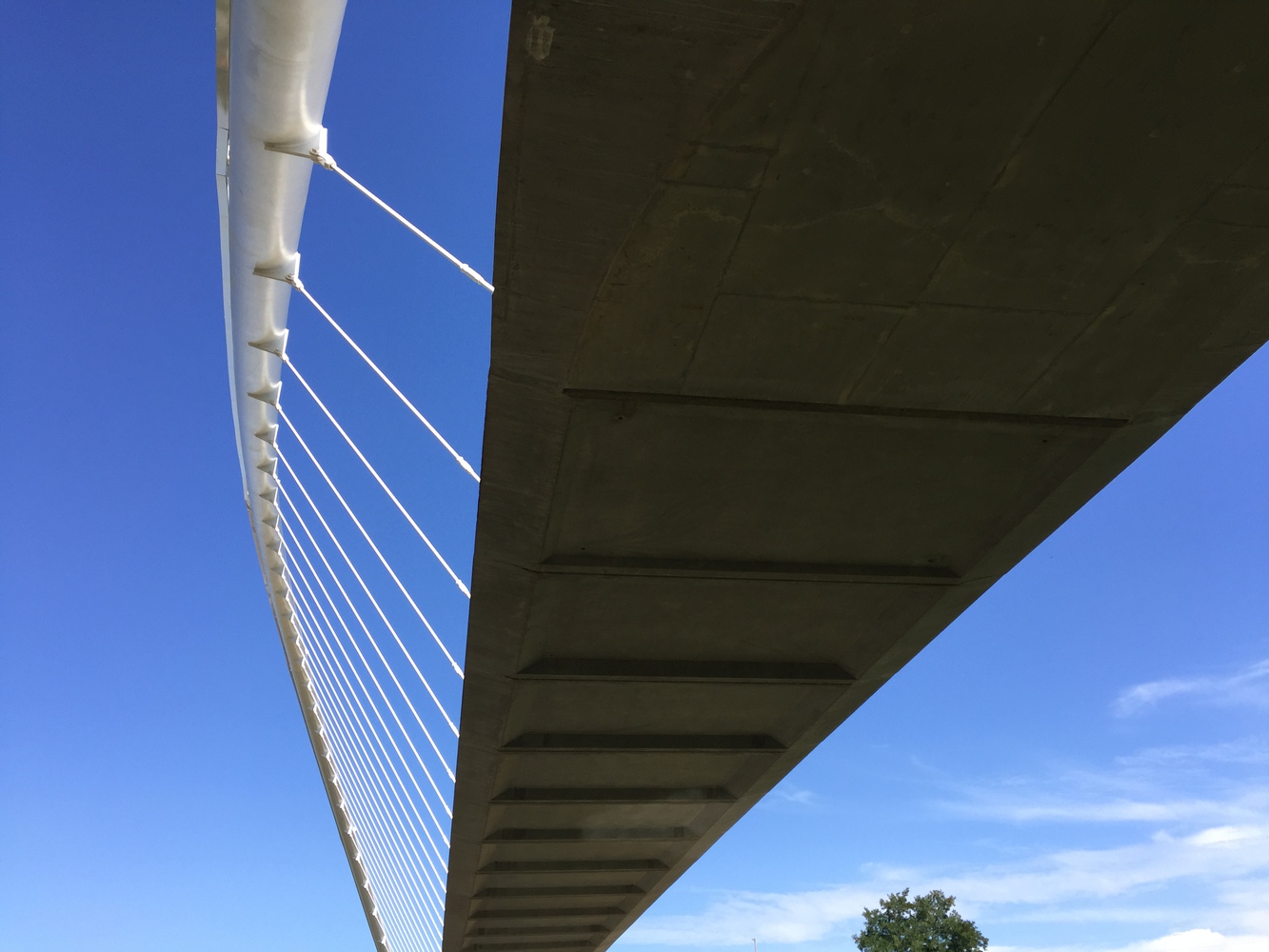 美国彼得·考特尼·明托岛自行车和人行天桥-23