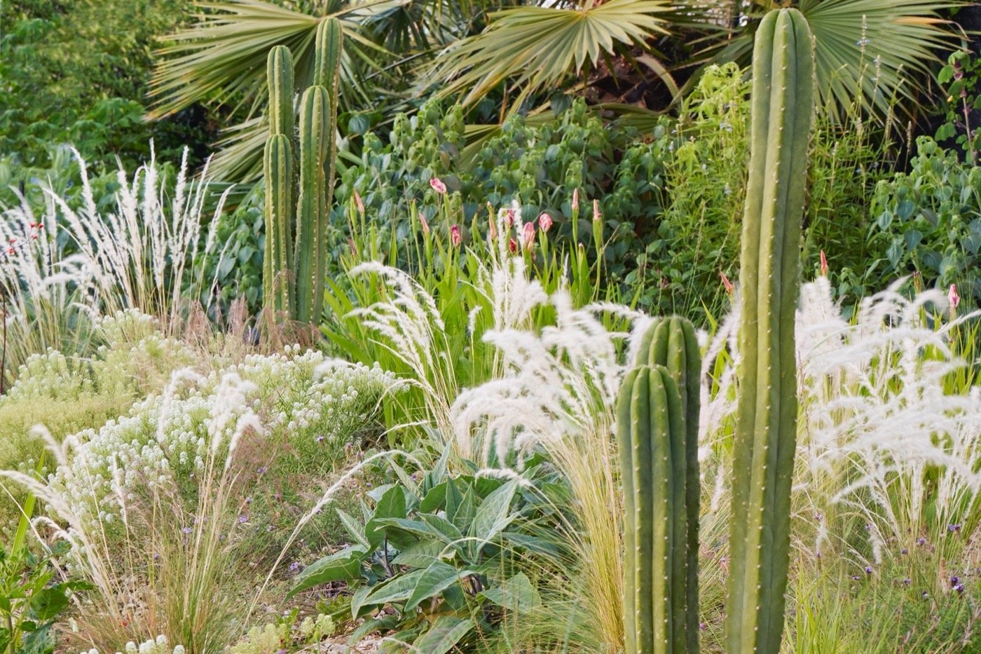 美国莫拉示范园区景观丨Studio One Eleven-6