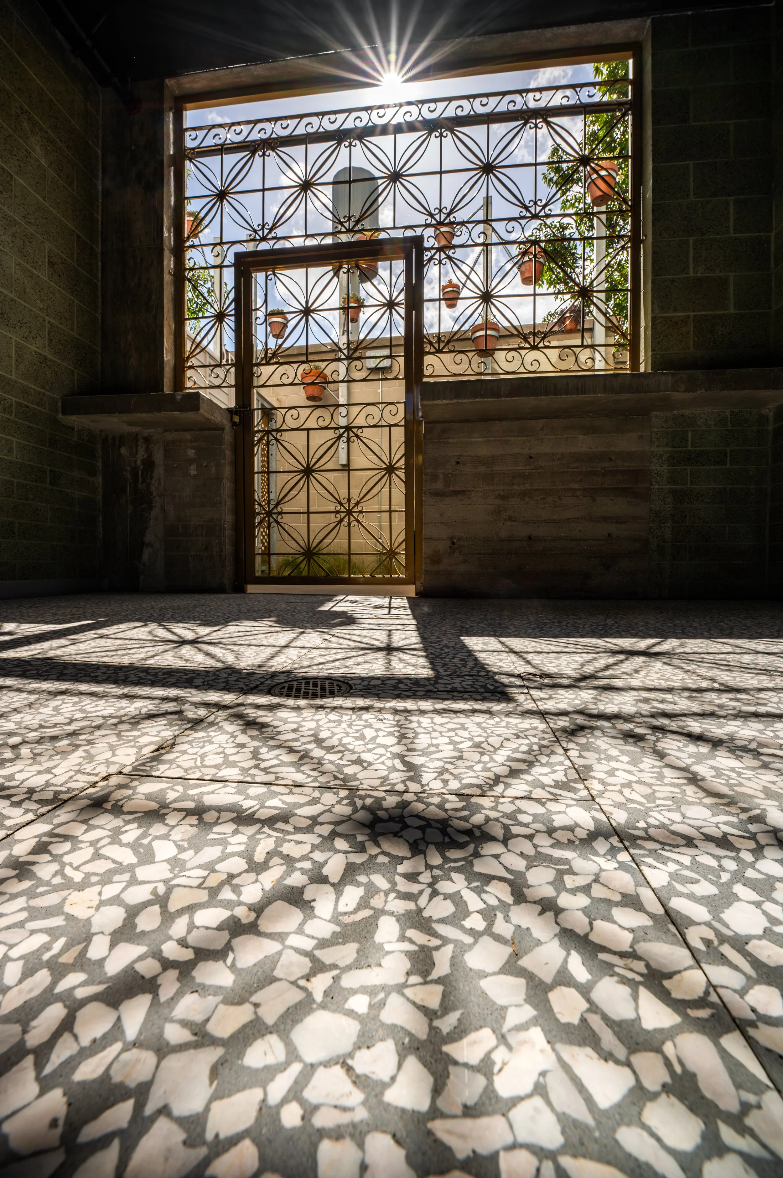 达芙妮·麦卡洛 · 圣地亚哥丨美国-24