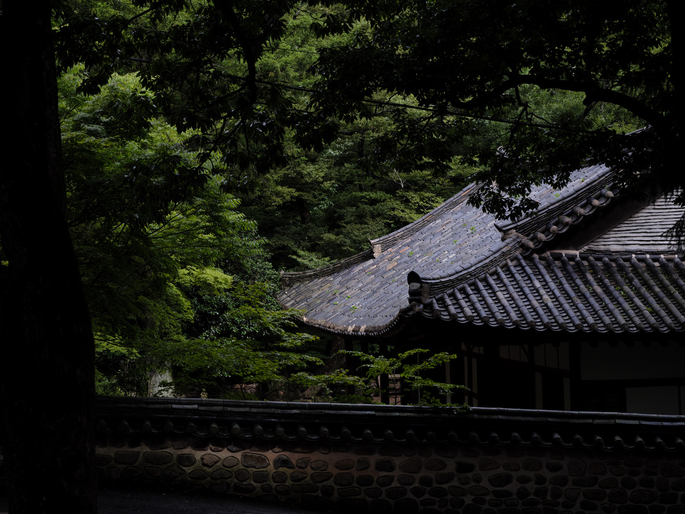 柳城湾酒店丨韩国丨Chakchak Studio-34