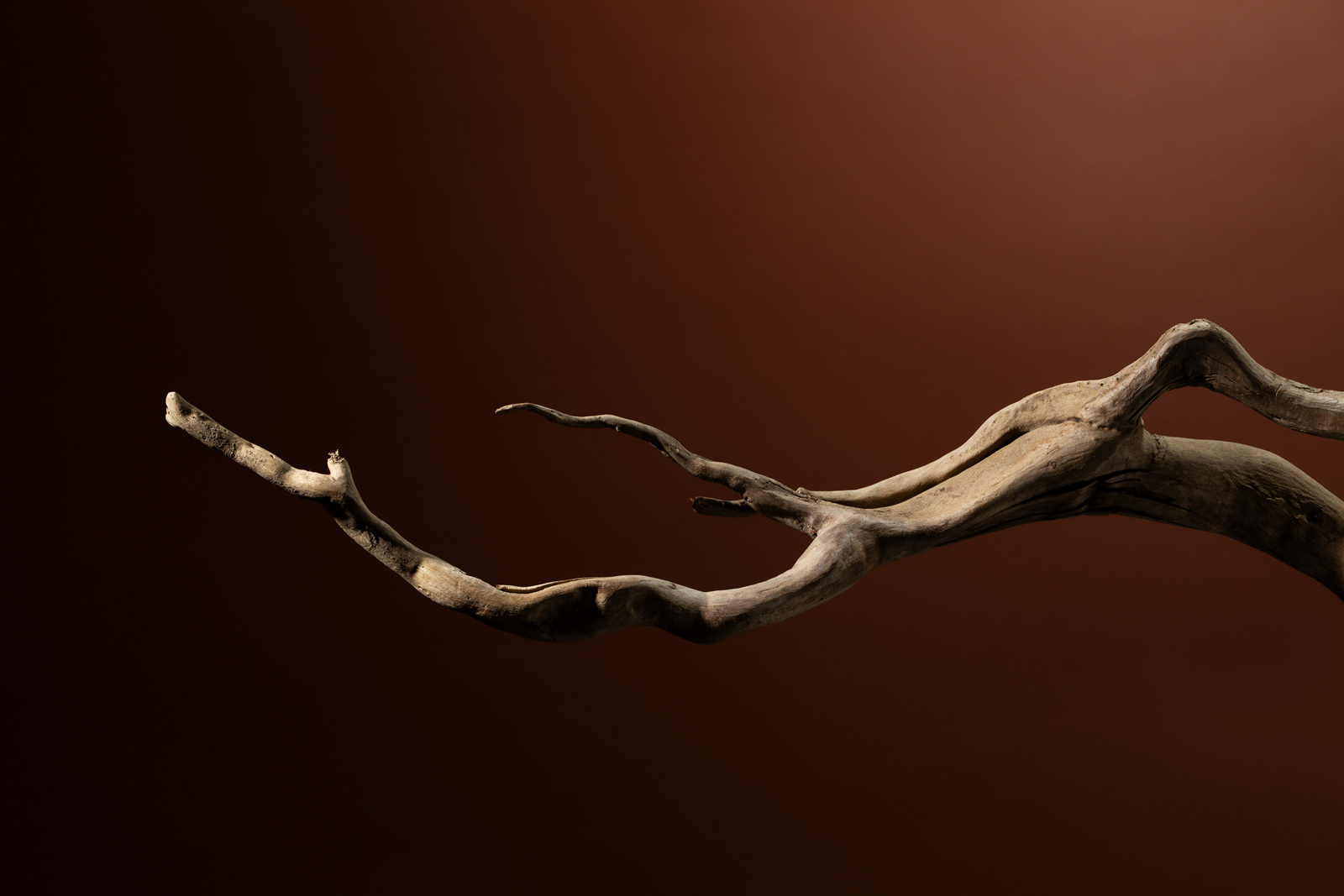 TorriPhoto摄影创作项目-49