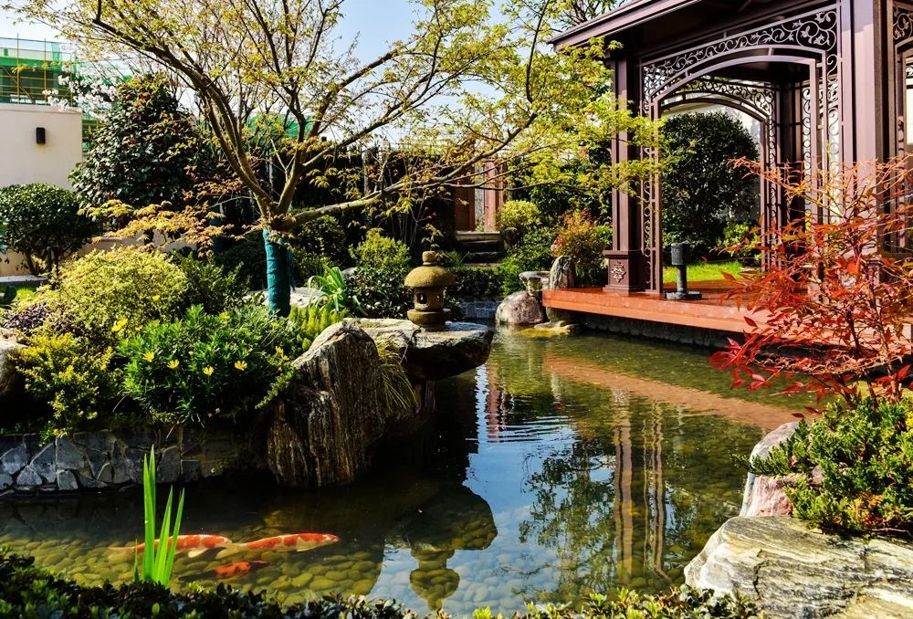 富春山居庭院改造 | 锦鲤鱼池的点睛之笔-3