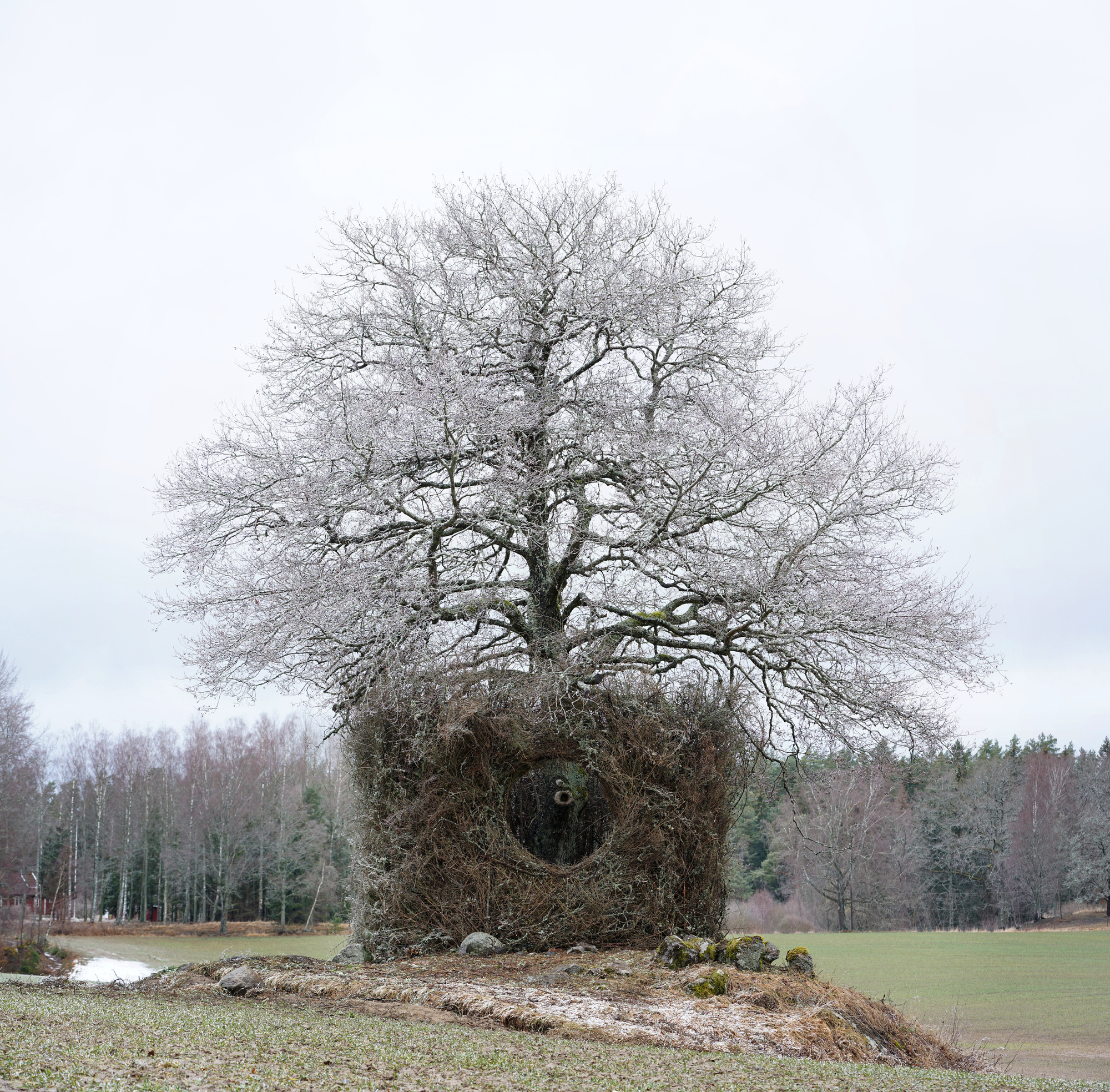 一树四季装置丨瑞典丨Ulf Mejergren + Antti Laitinen-27