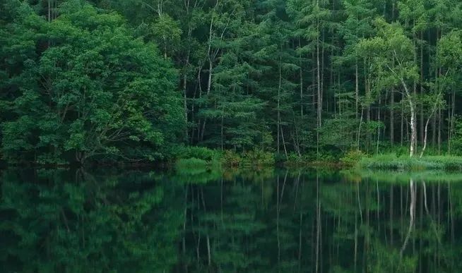攀枝花湖畔森邻丨中国攀枝花丨四川大元环境艺术设计有限公司-1