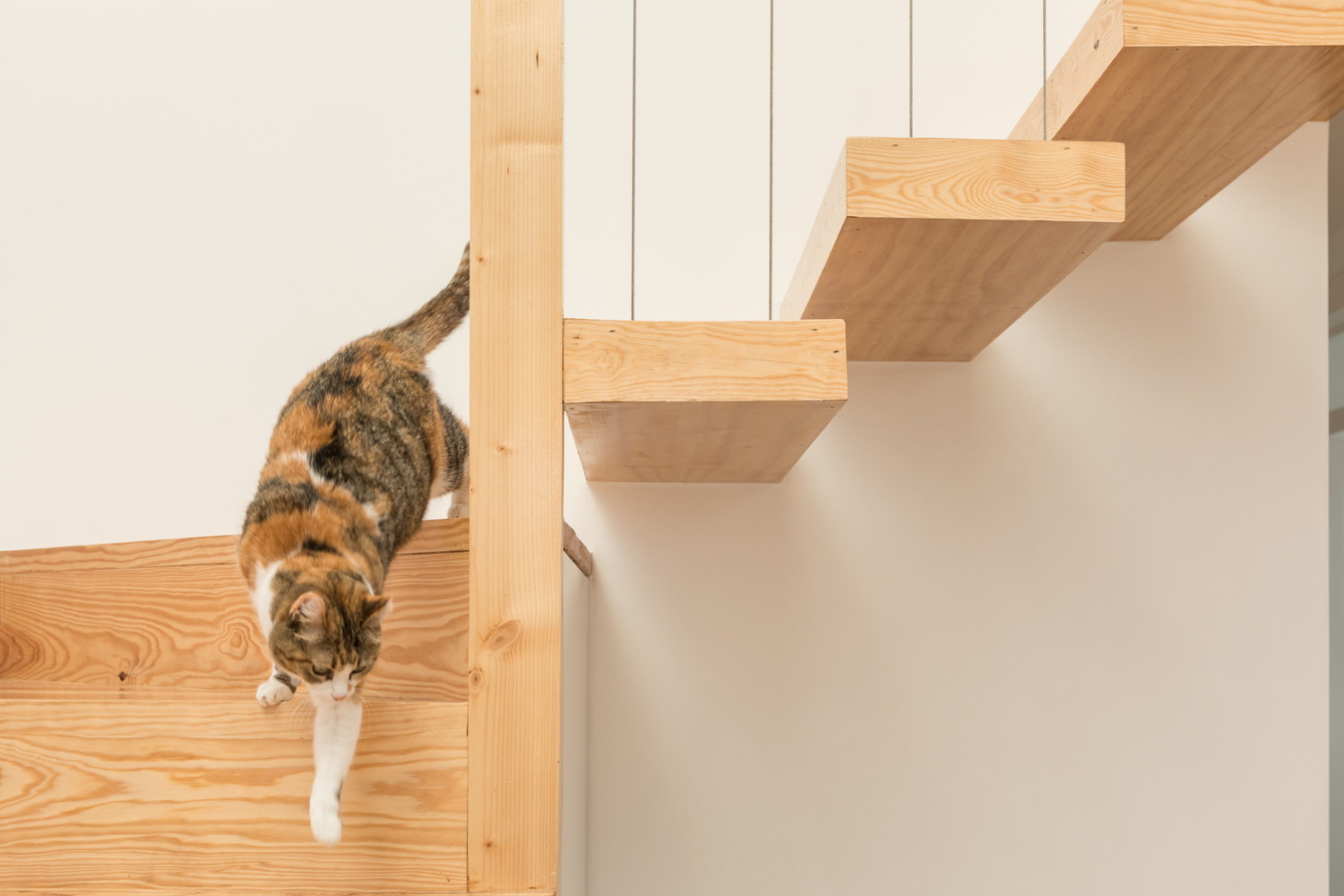 1914 年抽屉式建筑翻新公寓-61