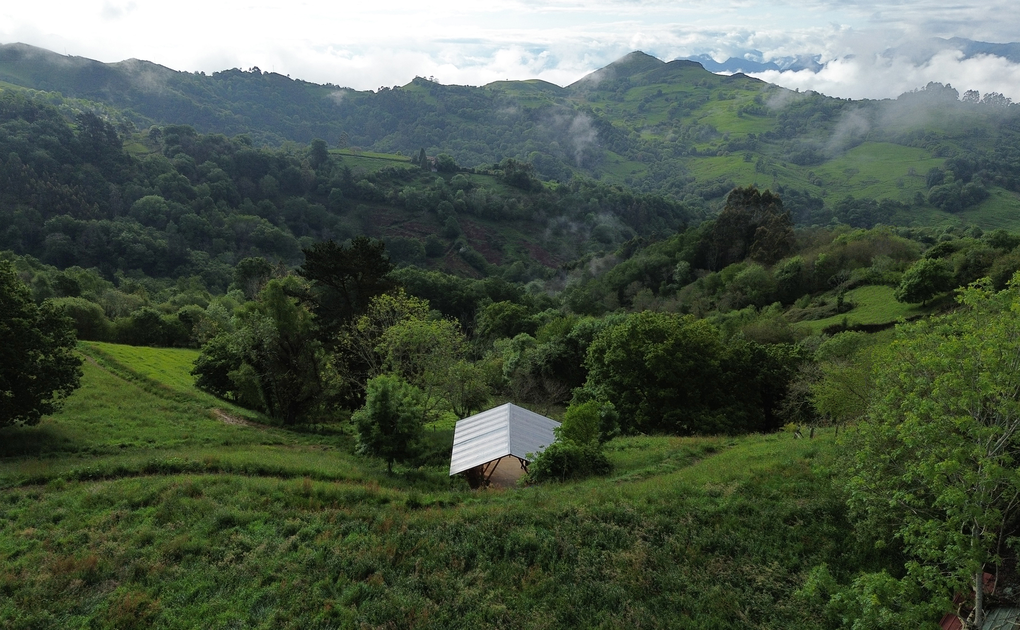 Taller Agropoetico - Foresta Collective / Atelier Poem-25