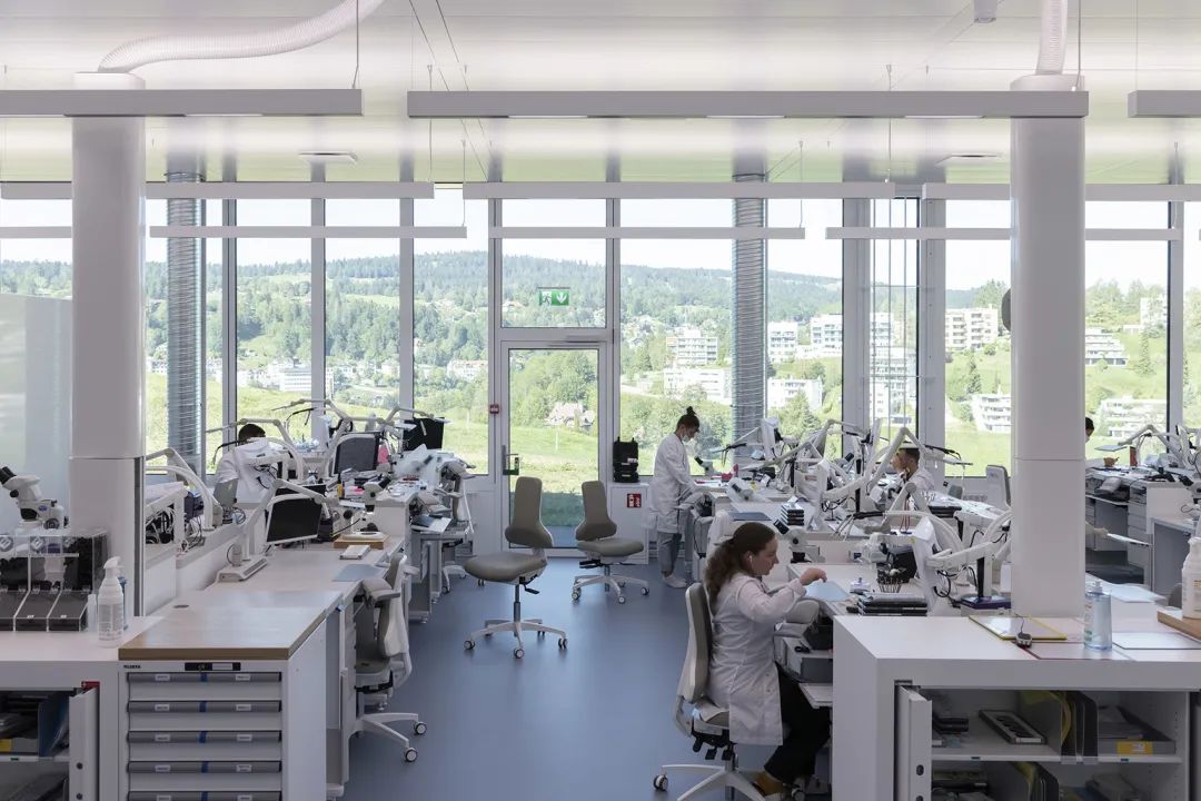 爱彼 Les Saignoles 新制造工厂丨瑞士丨Kuník de Morsier 建筑事务所-52