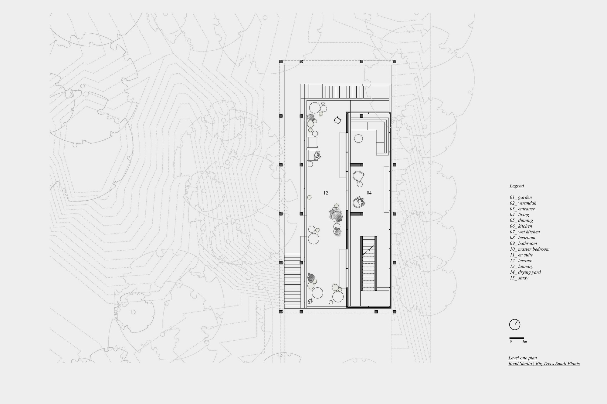 大树小植物屋丨Read Studio-24