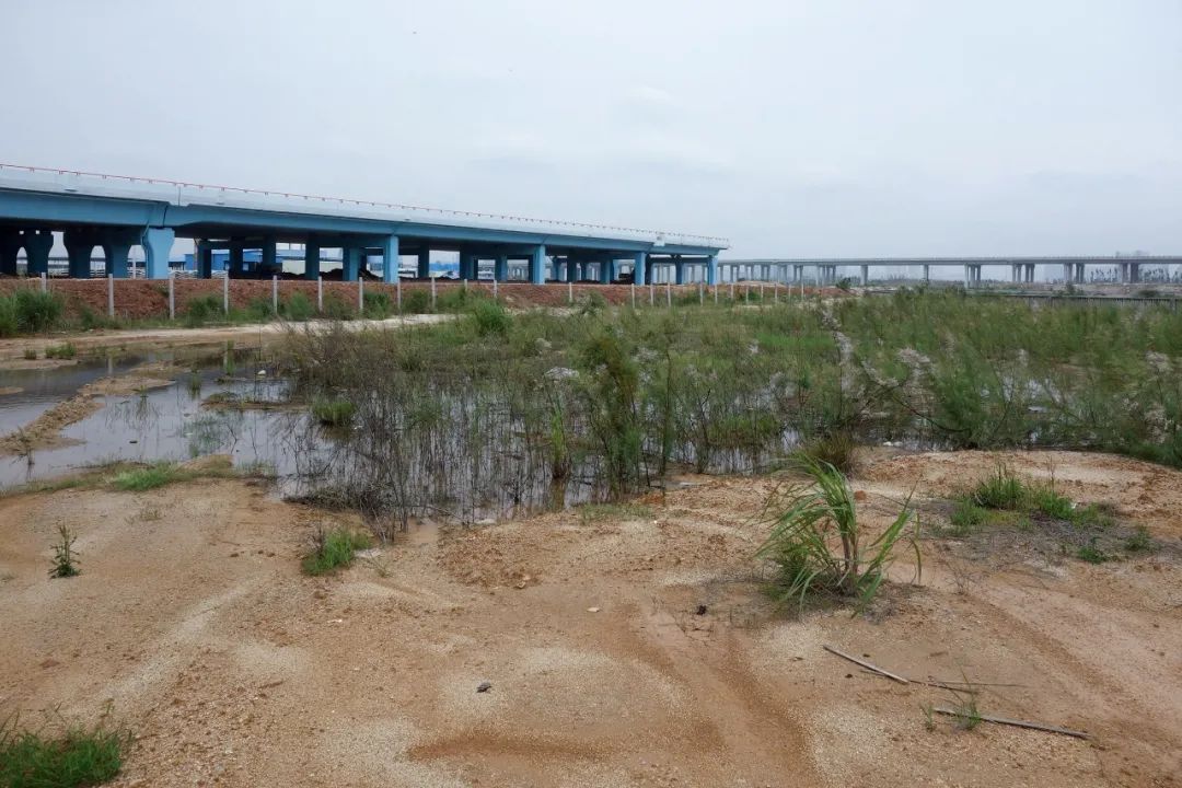 前海合作区相关建设项目（涉及多个项目）丨中国深圳丨奥雅纳（英国,中国香港,深圳团队）-58