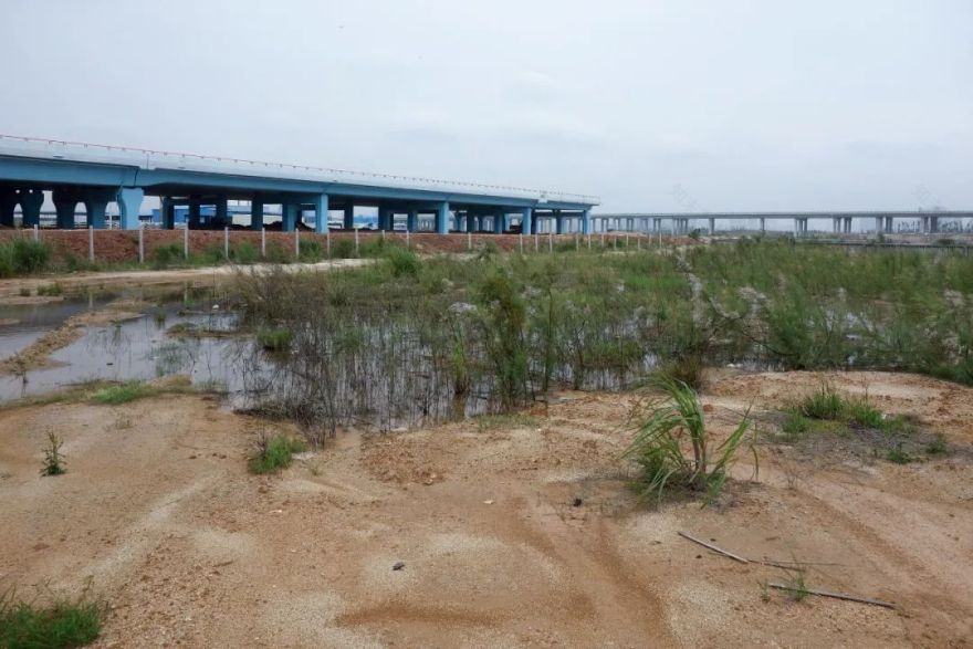 前海合作区相关建设项目(涉及多个项目)丨中国深圳丨奥雅纳(英国,中国香港,深圳团队)-58
