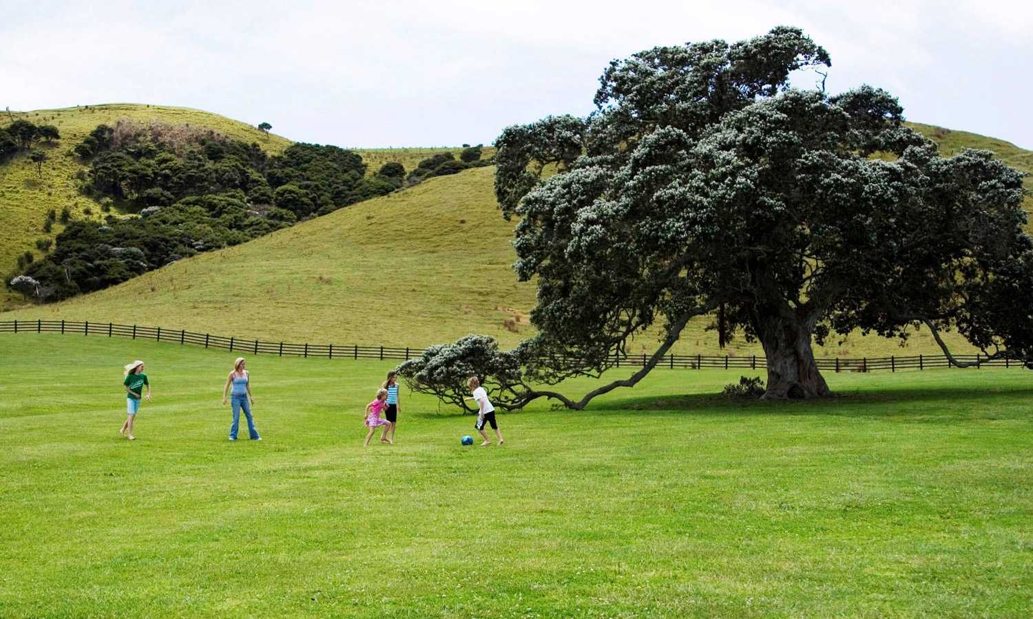 新西兰滨海绿地公园-11