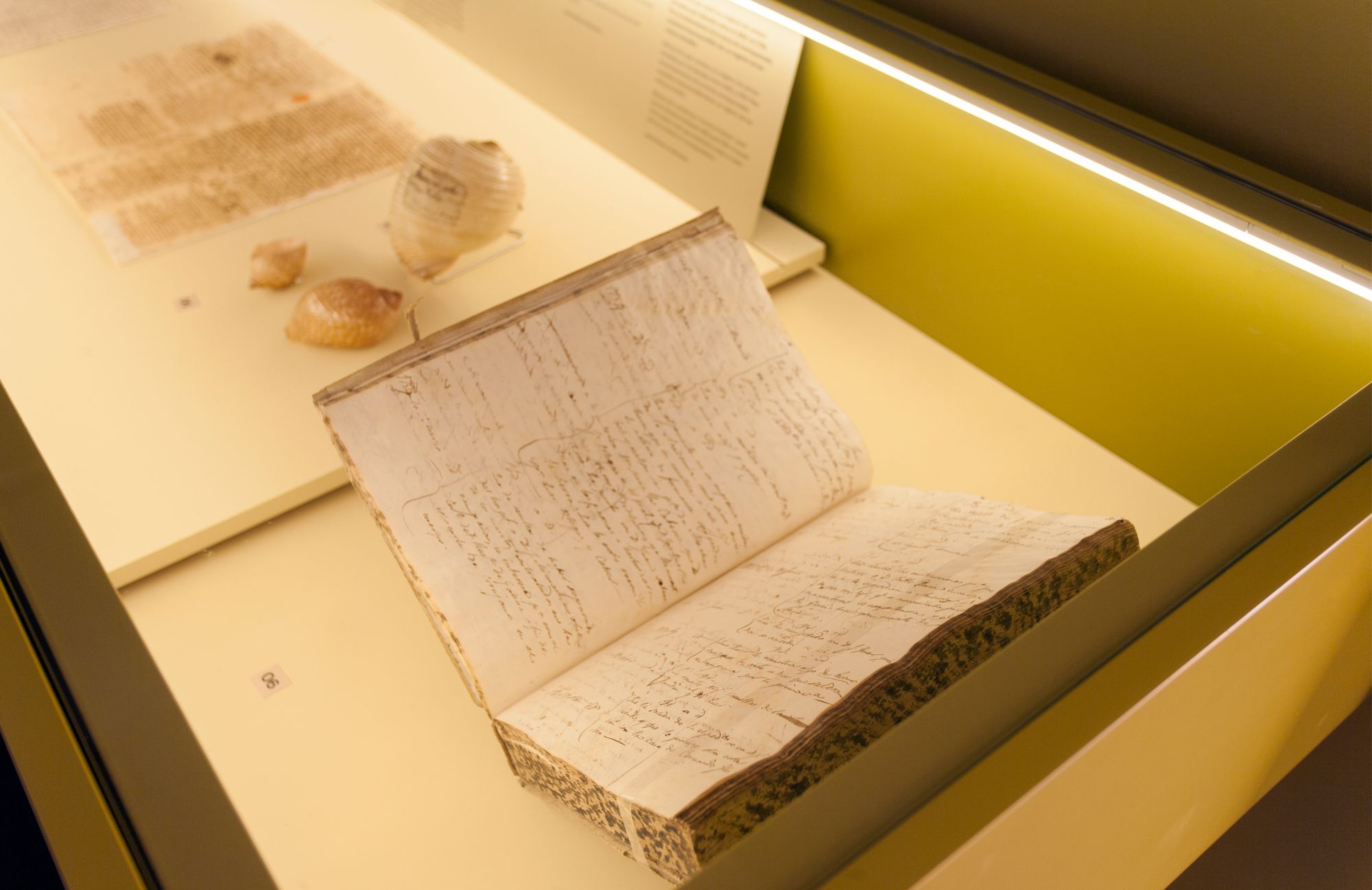 SALVADORIANA科学藏品展丨西班牙巴塞罗那丨emiliana design studio-18