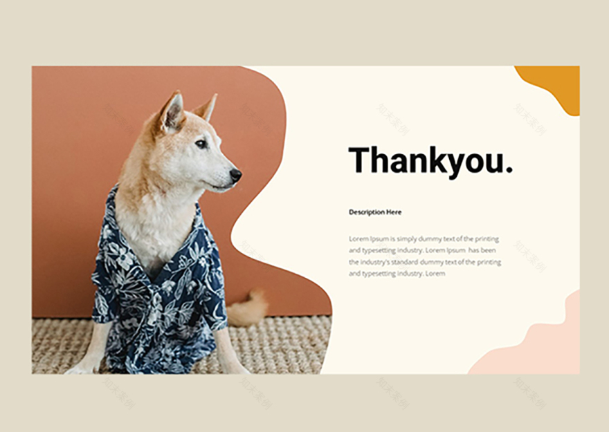 宠物店展示模板-11