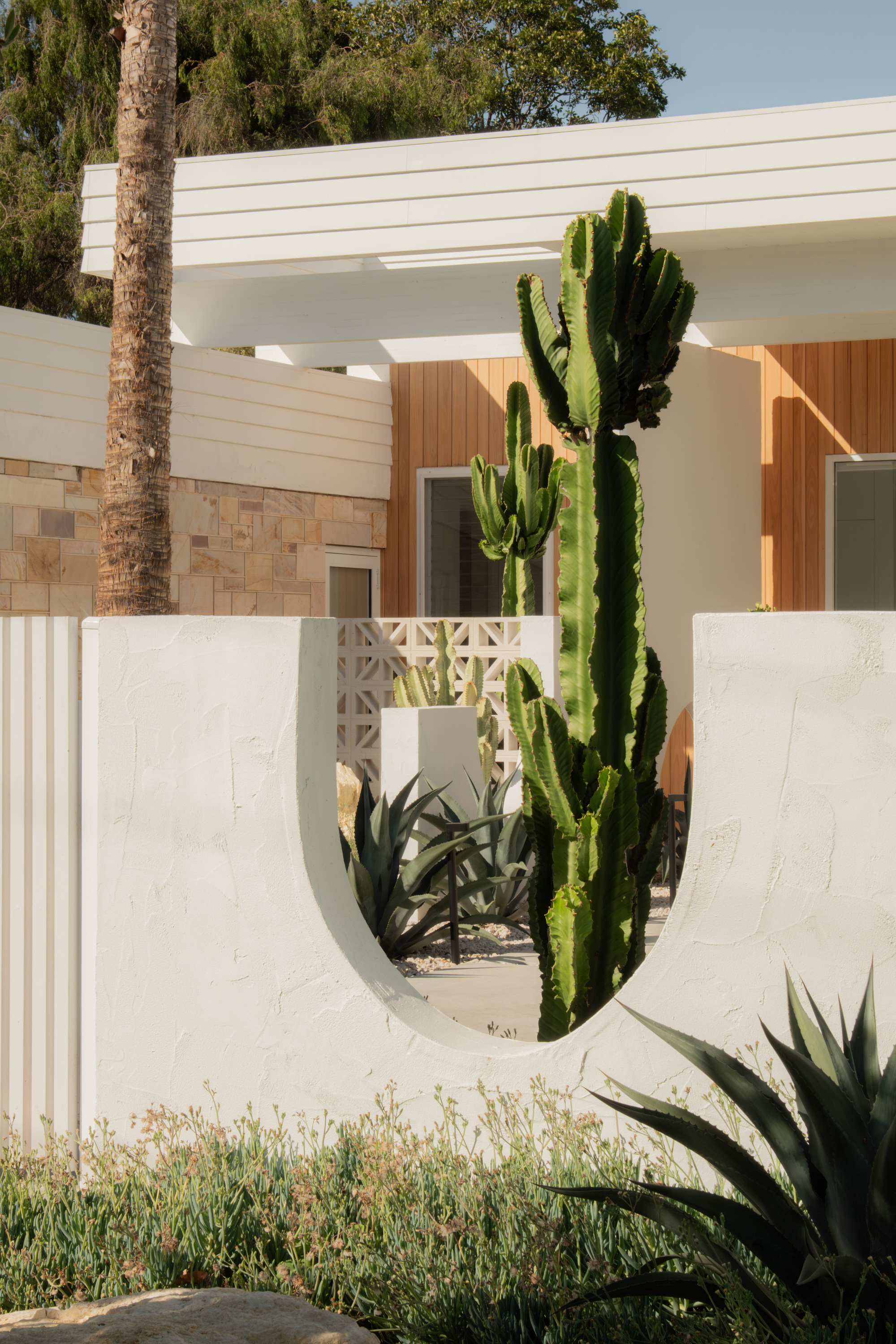 国际标准化组织 内部转移 外部房屋丨澳大利亚丨Ply Architecture-25