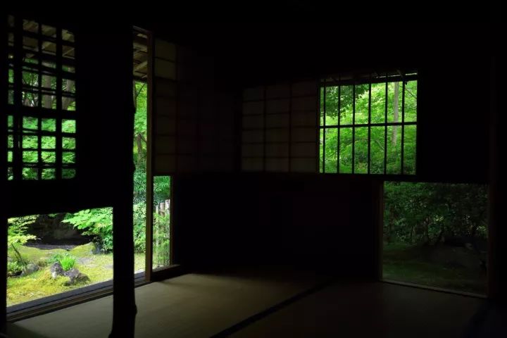 庭院满青苔，极美！-80