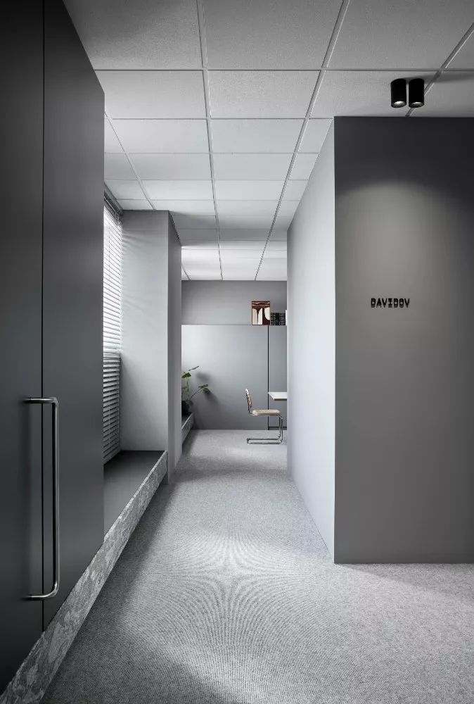 Davidov Architects | 住宅与公共概念的融合-14