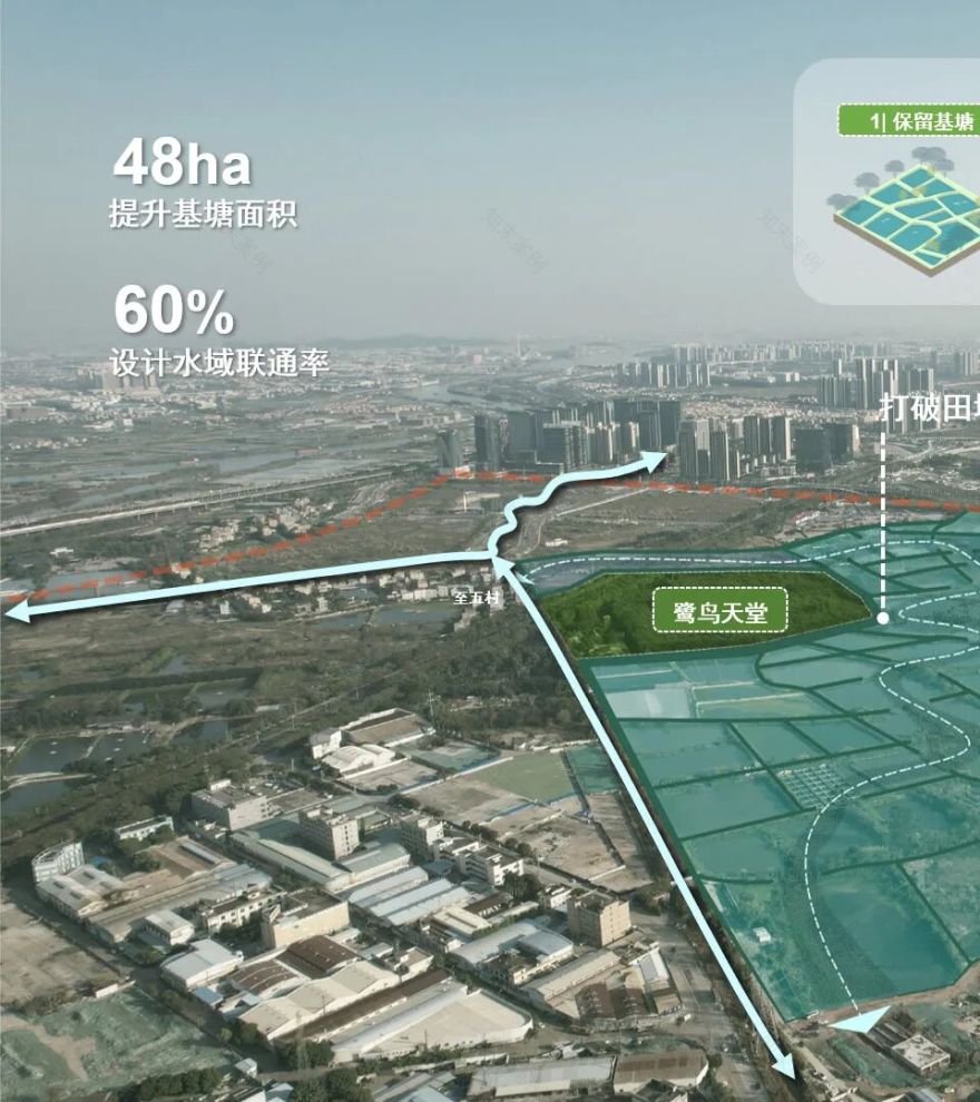 顺德鹭鸟湿地片区景观规划丨中国佛山丨AECOM-20