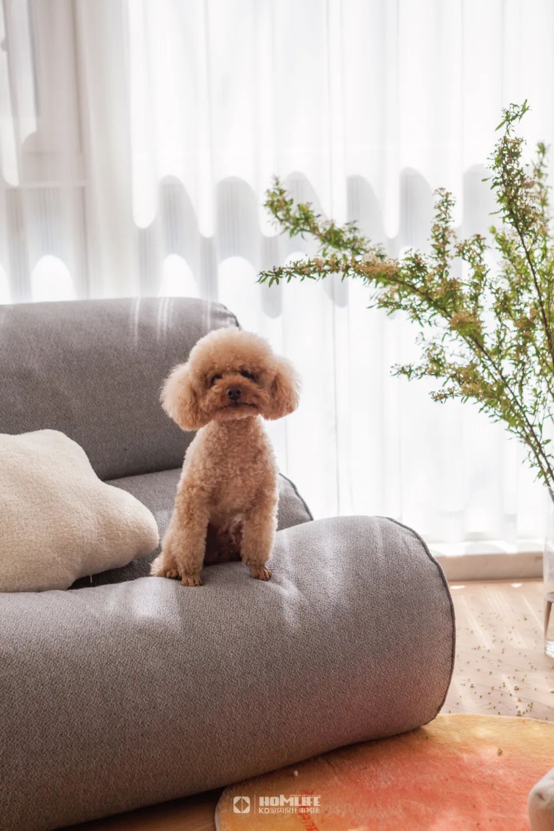 雅居乐国际花园150㎡彩色的夏日多巴胺丨中国重庆丨KD室内设计事务所-35