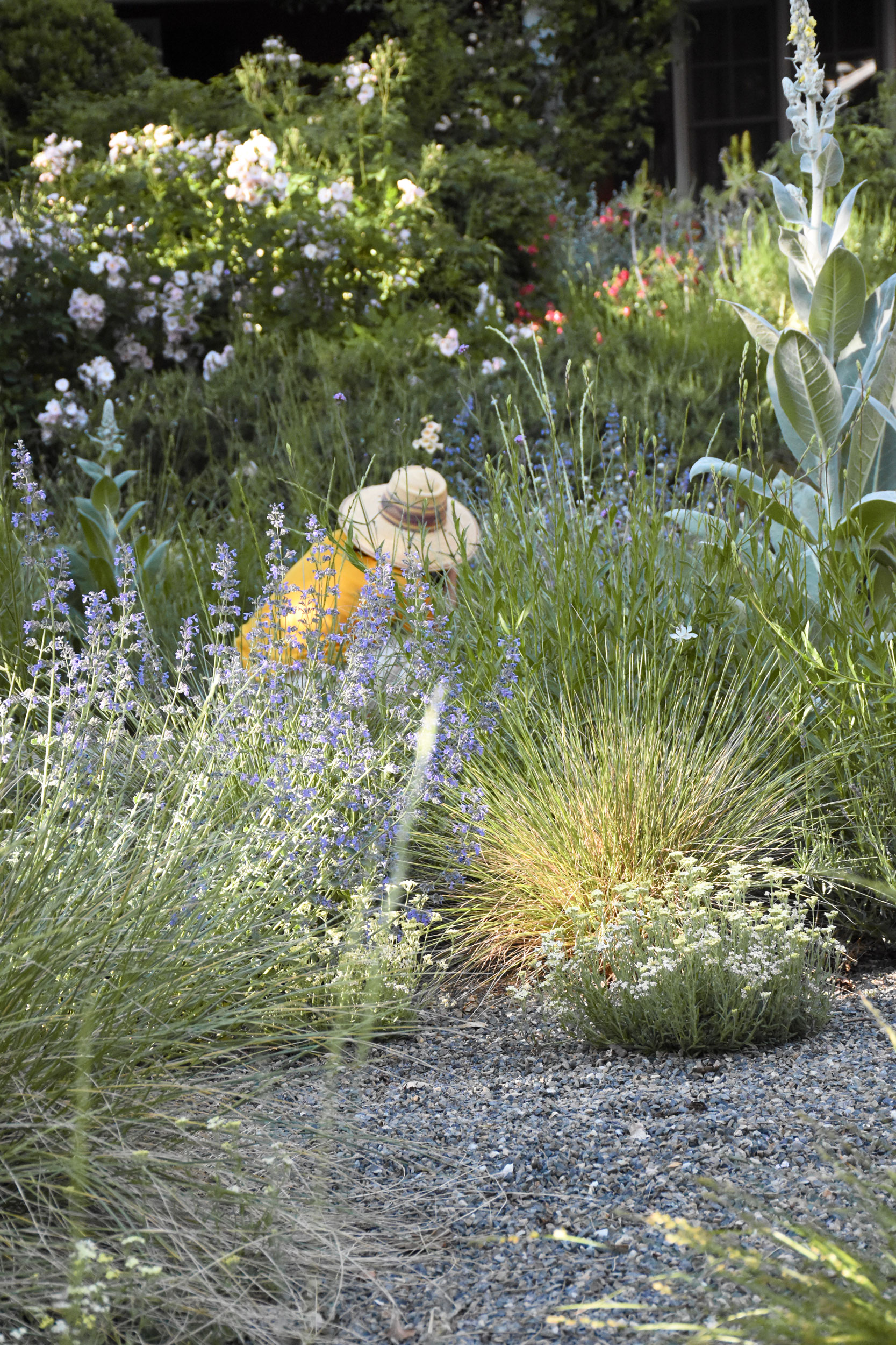 身边风景 | Soft Studio-117