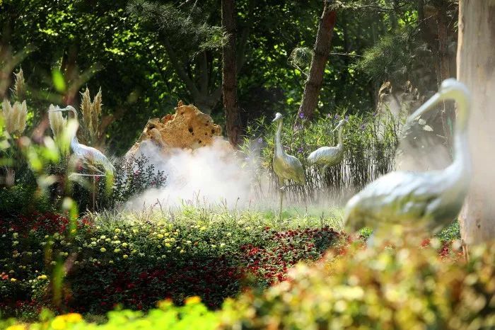 郑州经开区朝凤路景观提升改造 | 自然与艺术的融合-11