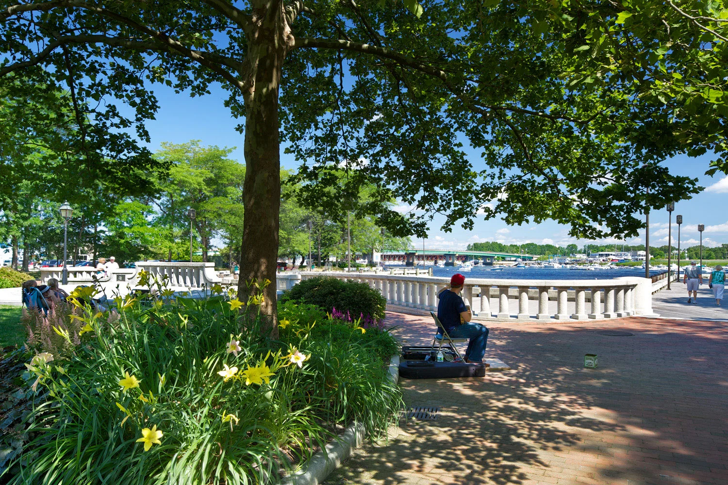 市场落地丨美国-26