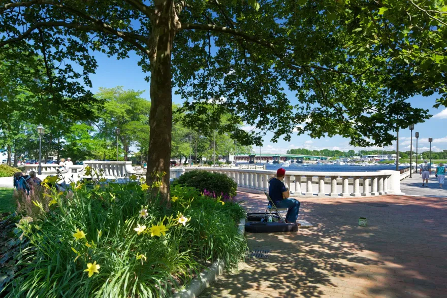 市场落地丨美国-26