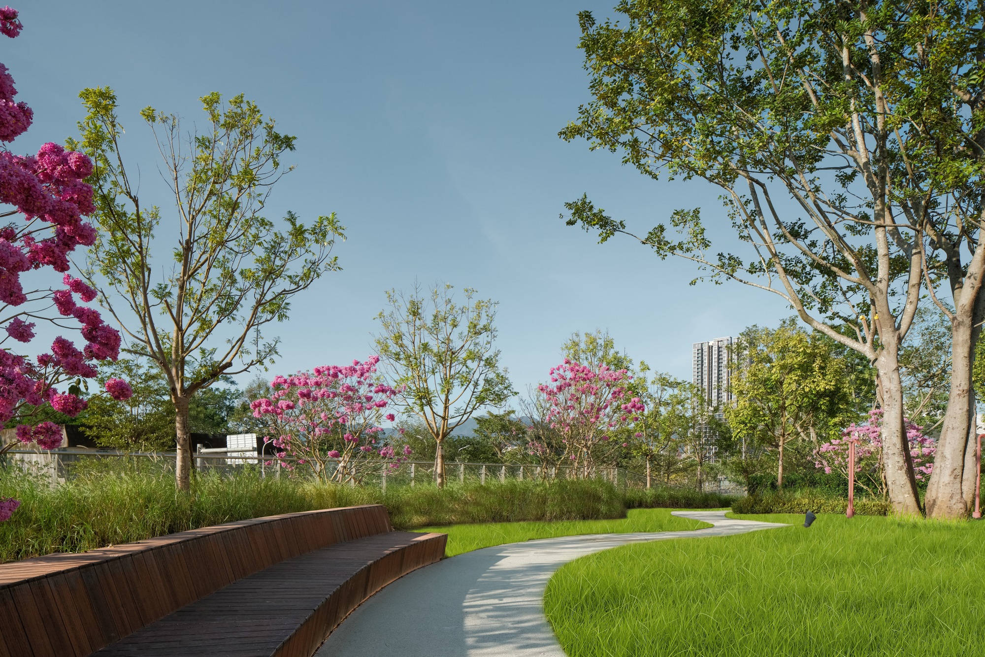 深圳市第二人民医院大鹏医院丨中国深圳丨景观设计为深圳市希尔景观设计有限公司等多家-38