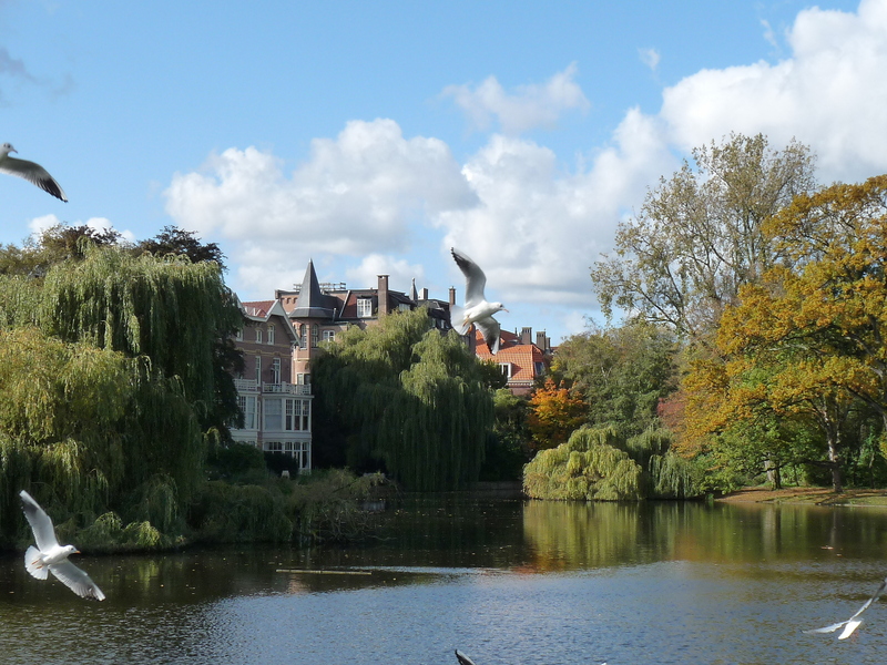 阿姆斯特丹冯德尔公园主入口改造丨荷兰阿姆斯特丹-7