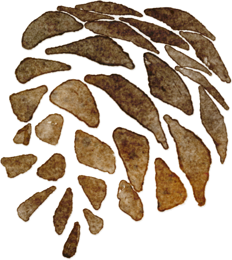 龙祥康体项目|徐州方特，趣味农场开启缤纷探索之旅，打造儿童友好空间-11