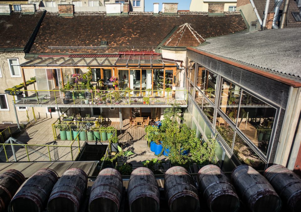 维也纳酿醋厂庭院店铺设计-0