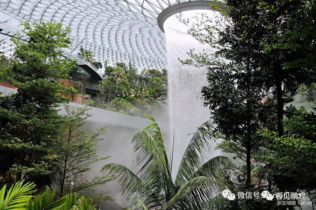 星耀樟宜 | 雨漩涡与绿意交织的机场奇迹-38