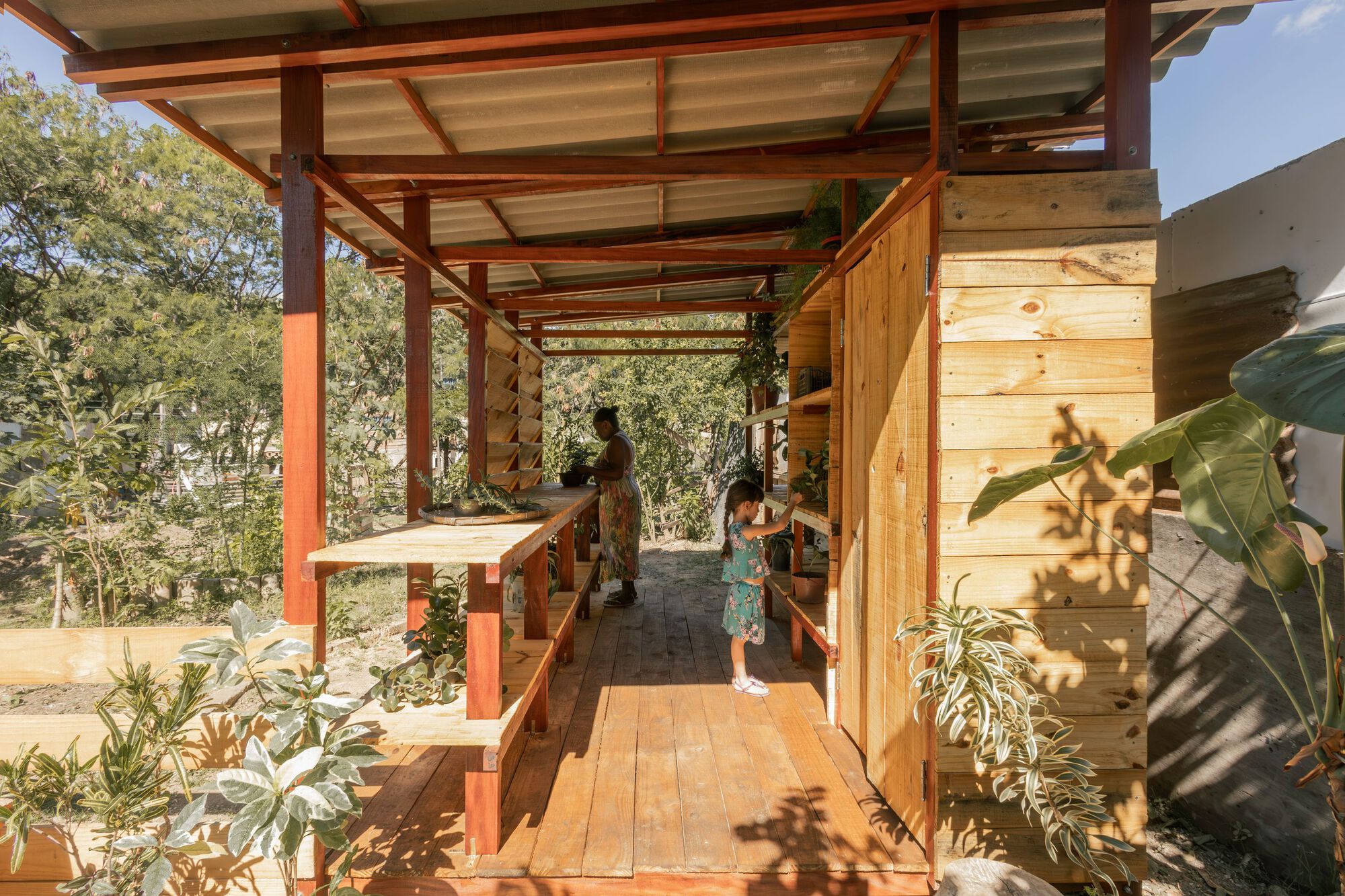 生态箱种子屋丨巴西丨PFLEX Escola de Arquitetura UFMG-17