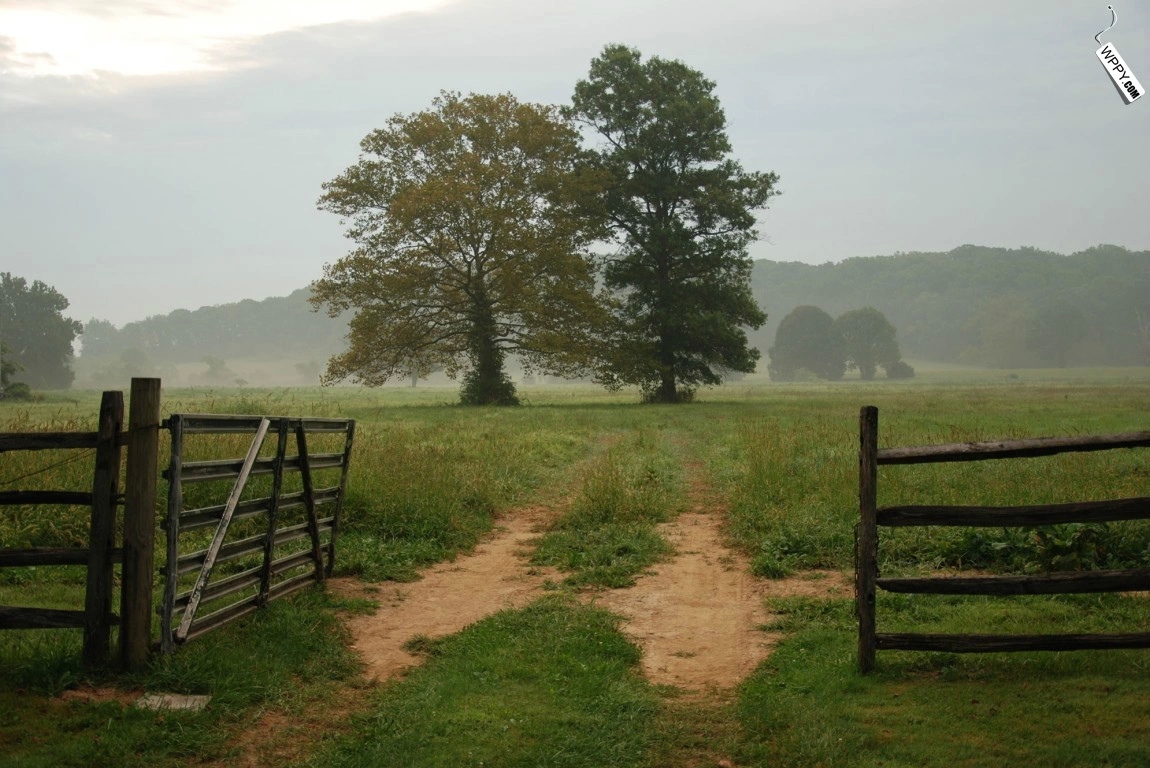 美国宾夕法尼亚的乡村住宅-16