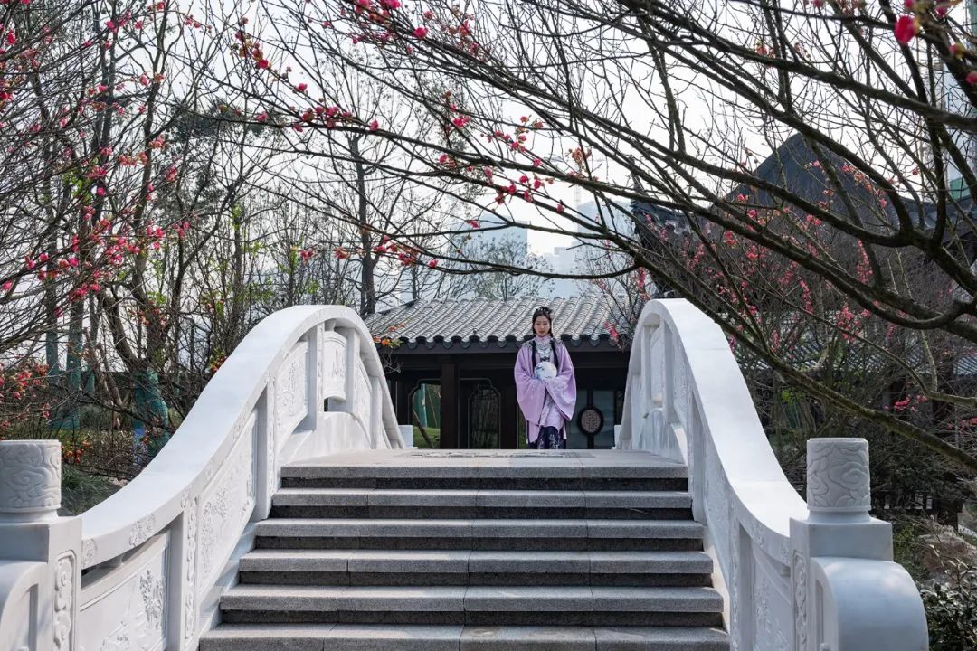 苏式诗意栖居·万景·进园汇丨中国眉山丨万景集团-78