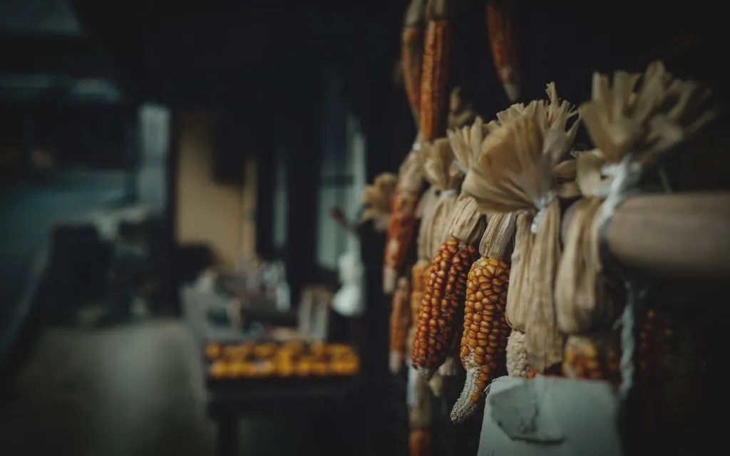 Setouchi Cominca Stay · 传统与现代的日本民宿丨Katsumi yamashita,Shiro miura-13