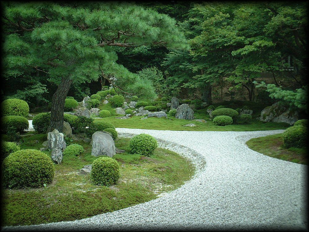 曼殊院门迹丨日本京都丨无明确信息-21