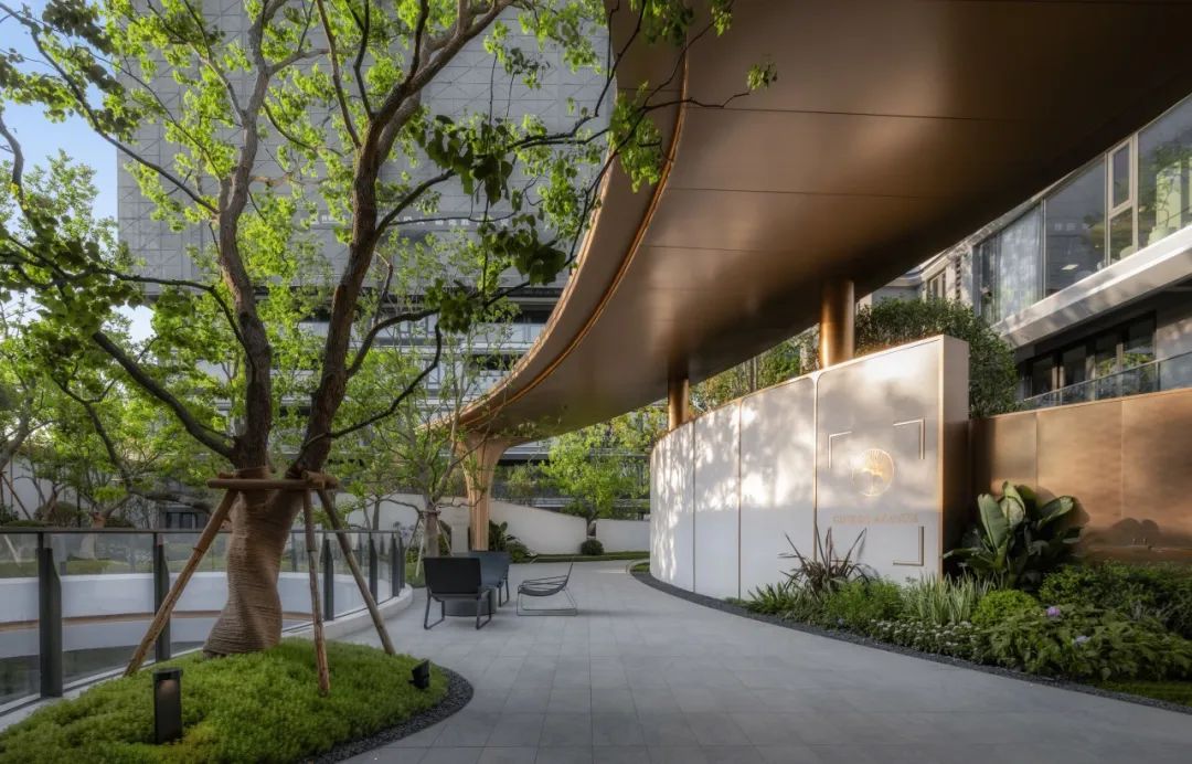 拉开高定人生序幕 | 仁和春天 · 银杏大道-75