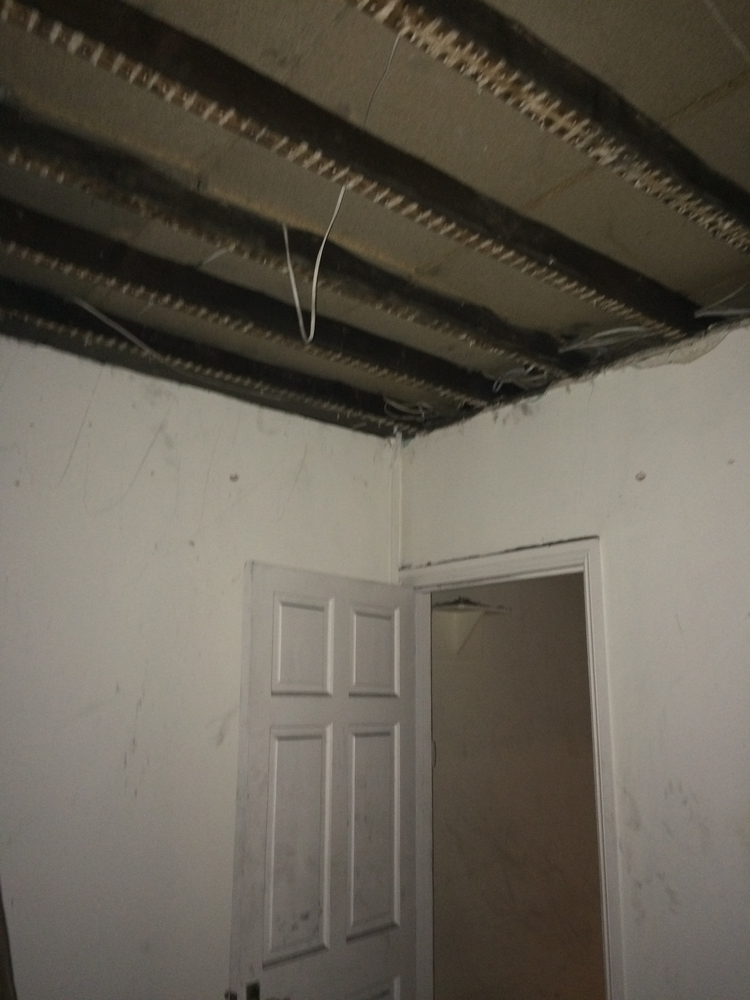 Clapham House  MWArchitects-50