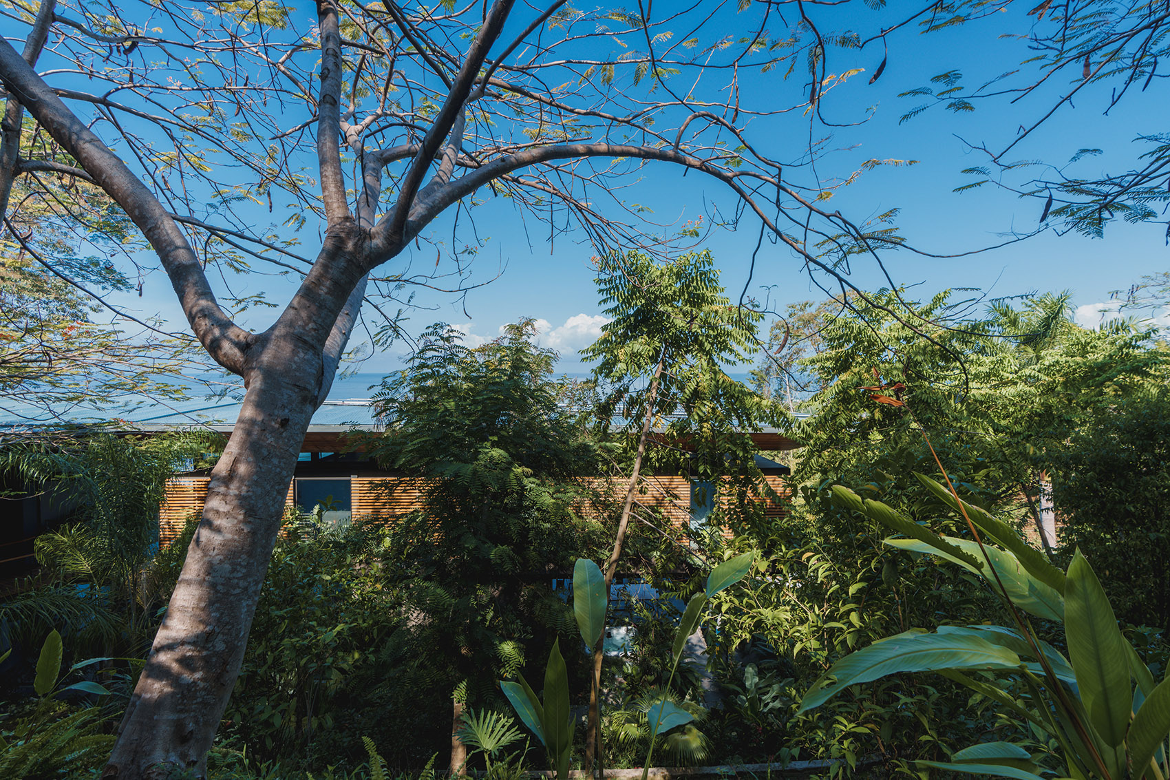 Cascada de Luz 别墅丨哥斯达黎加丨Studio Saxe-13