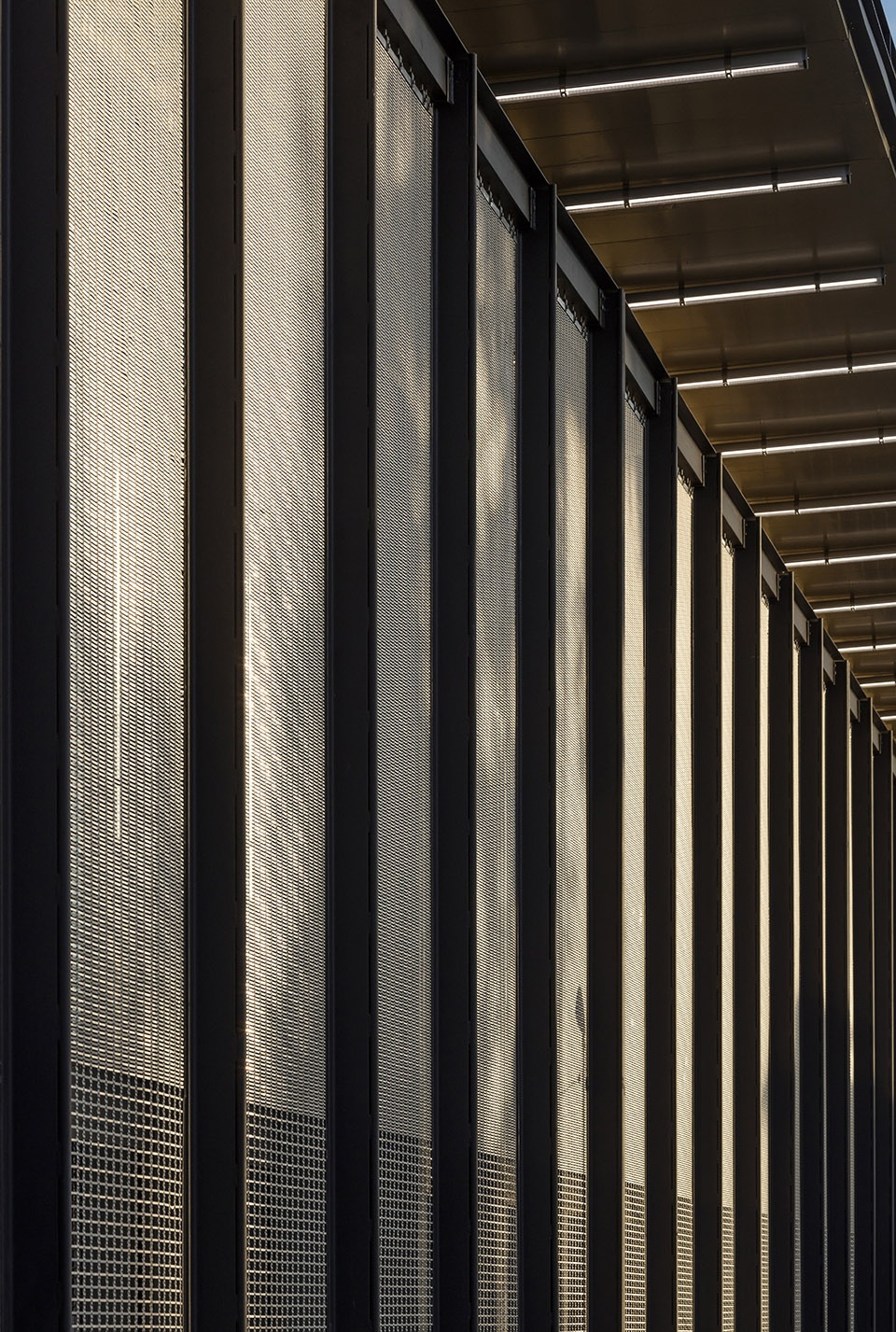 PointeàPitre 法院丨印度丨Ignacio Prego Architectures-45