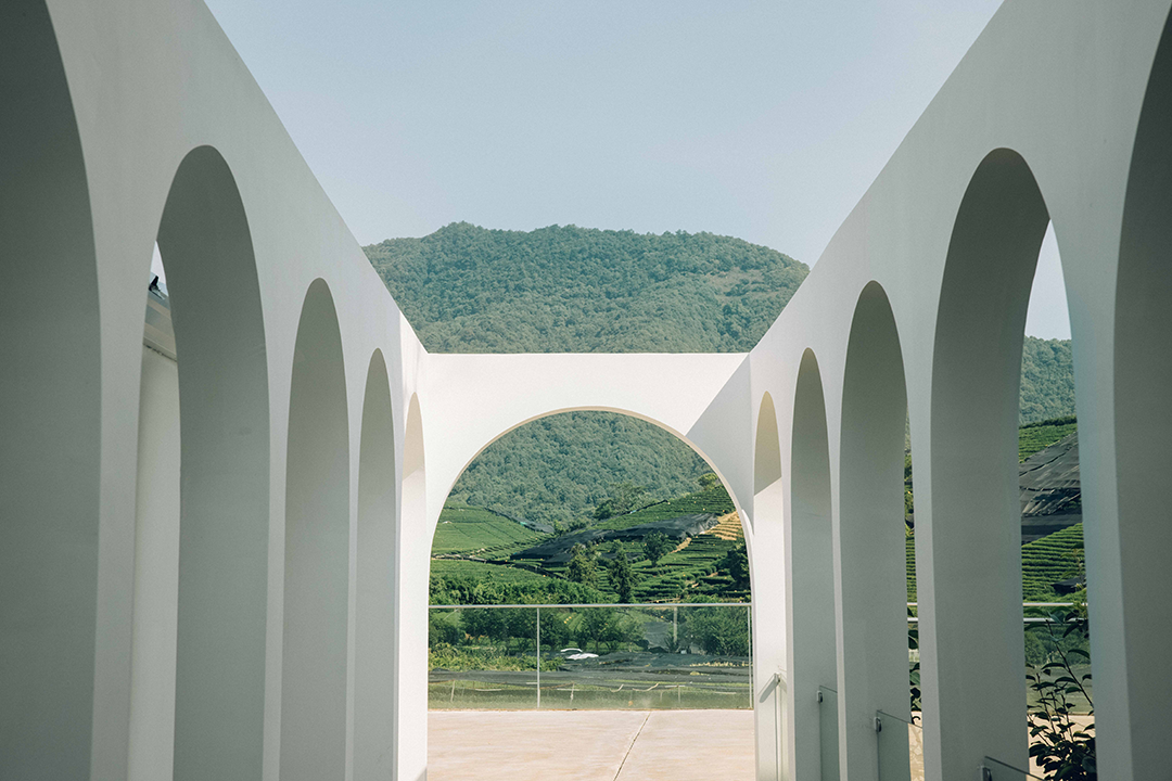 鲸与惊奇丨中国杭州丨无题设计-9