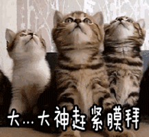 上海新地标“天安千树” | 托马斯·赫斯维克的天马行空之作-32