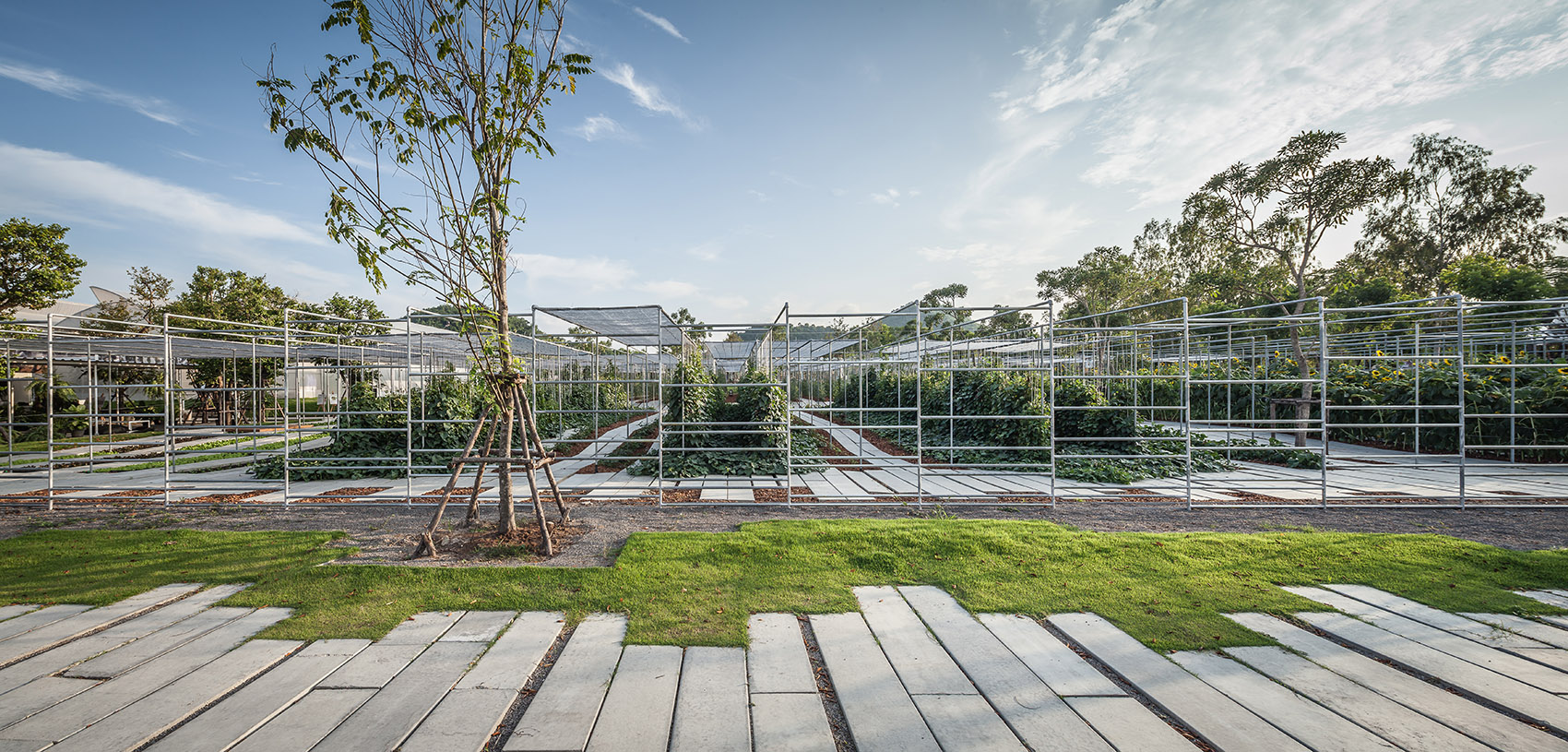 都市农场，泰国 / Integrated Field Co.,Ltd.-12