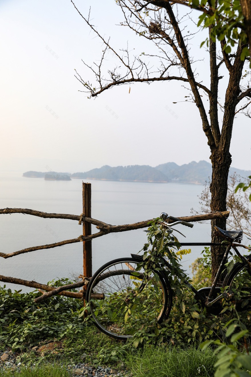 R·park 骑士公园(千岛湖)丨中国杭州丨慢珊瑚设计-139